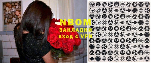 прущие грибы Алексеевка