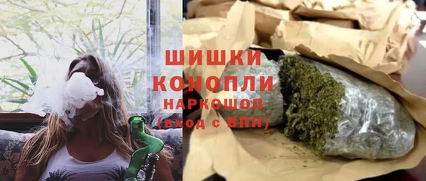 прущие грибы Алексеевка