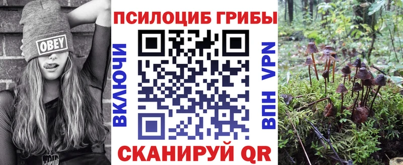 закладка  Опочка  Псилоцибиновые грибы мухоморы 